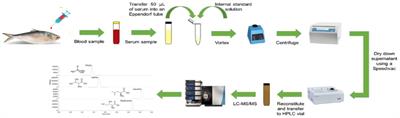 Age-specific changes in the serum proteome of female anadromous, hilsa Tenualosa ilisha: a comparative analysis across developmental stages